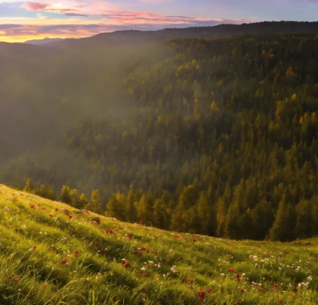 Post-Nature Landscapes - Post-Nature Landscapes_37