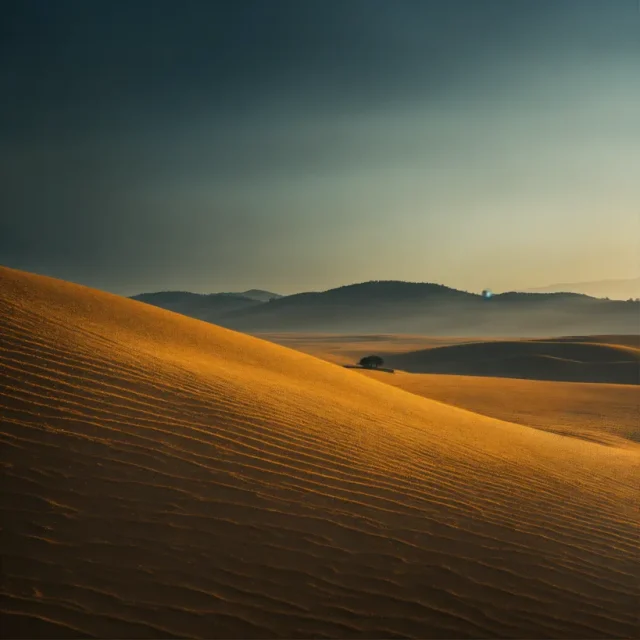 Post-Nature Landscapes - Post-Nature Landscapes_38