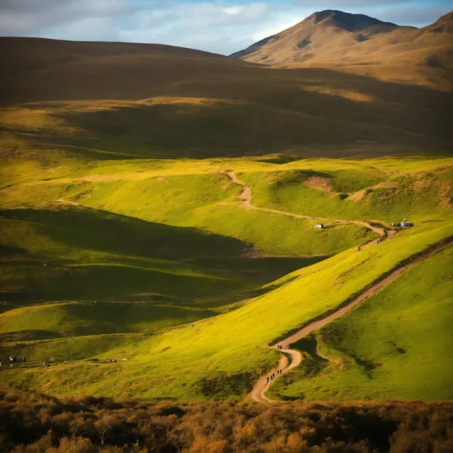 Post-Nature Landscapes - Post-Nature Landscapes_45